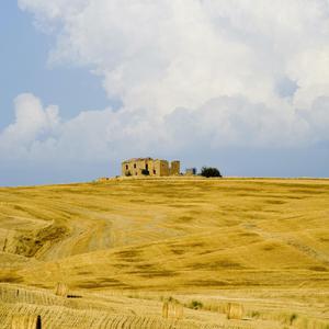 播放关于动漫美女操鸡
